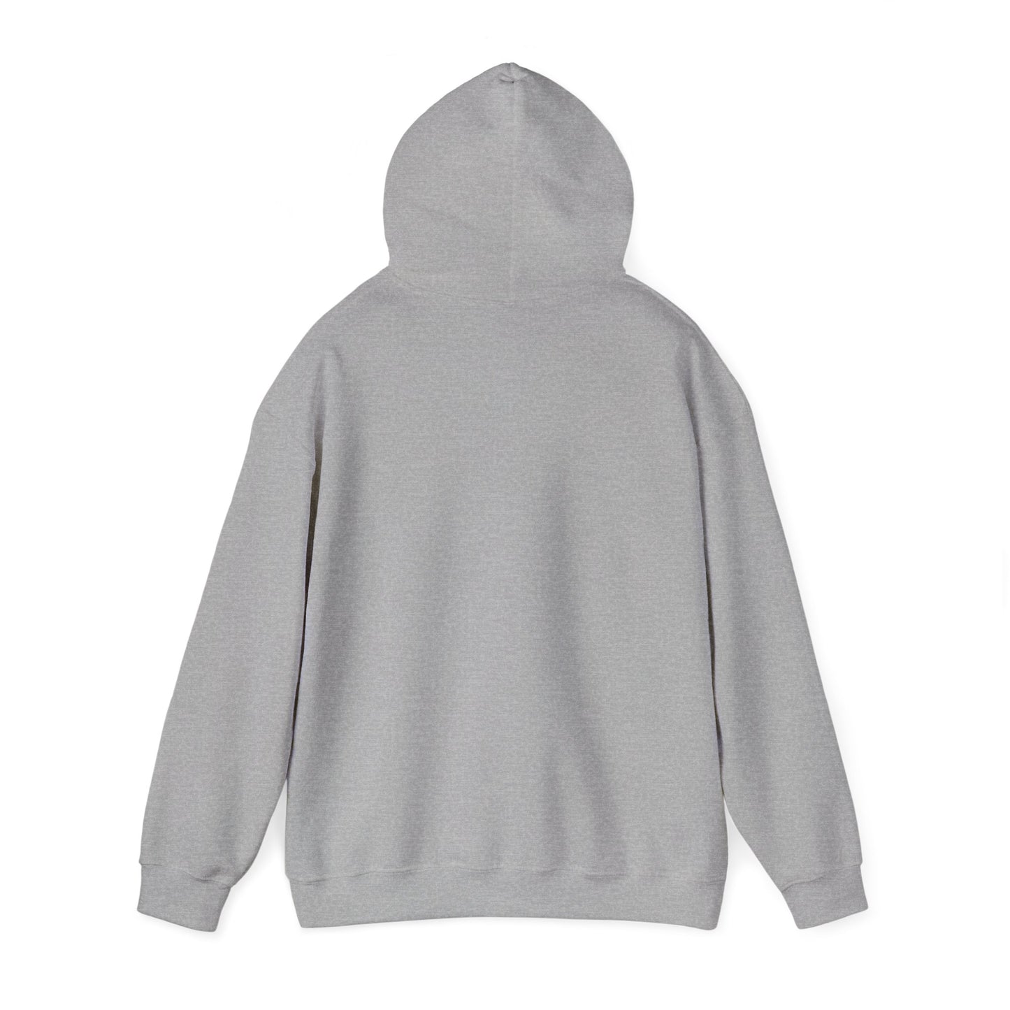 Access Denied Unisex Heavy Blend™ Hooded Sweatshirt